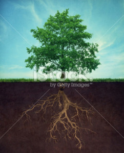 photo11